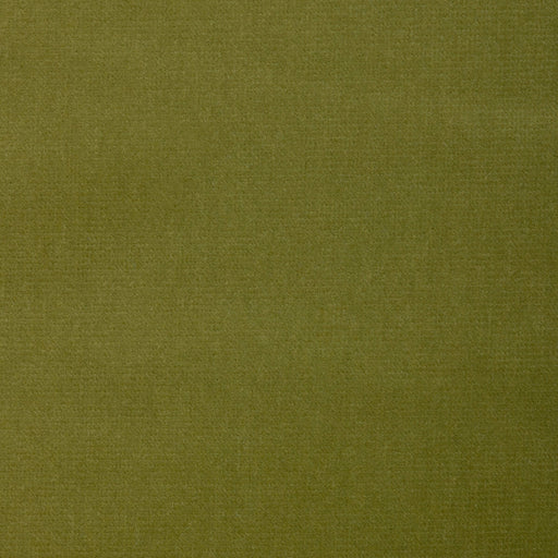 KRAVET DESIGN - KRAVET DESIGN- VERSAILLES-E26358 - Fabric by the Yard VERSAILLES-E26358