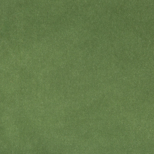 KRAVET DESIGN - KRAVET DESIGN- VERSAILLES-E264250 - Fabric by the Yard VERSAILLES-E264250