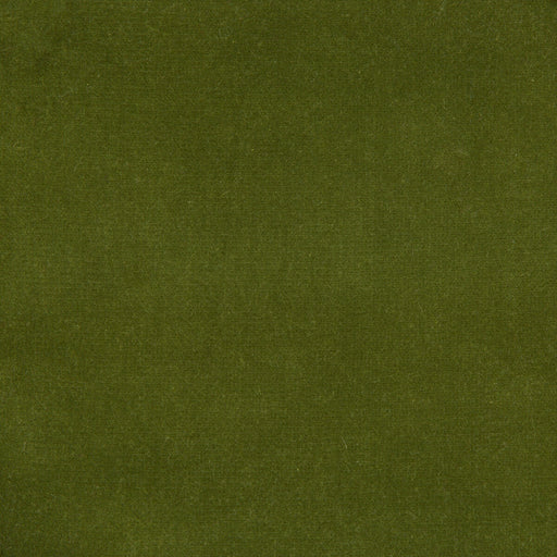 KRAVET DESIGN - KRAVET DESIGN- VERSAILLES-E272240 - Fabric by the Yard VERSAILLES-E272240