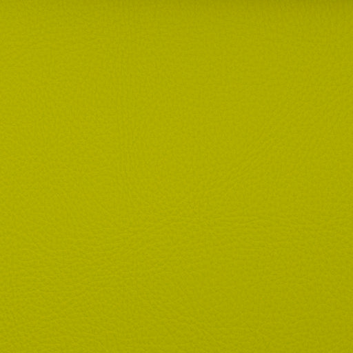VOYAGER KEY LIME