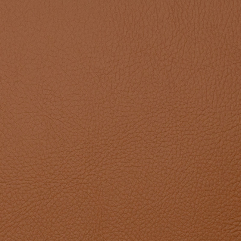 VOYAGER MAPLE