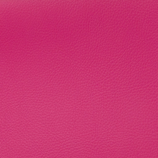 VOYAGER PINK