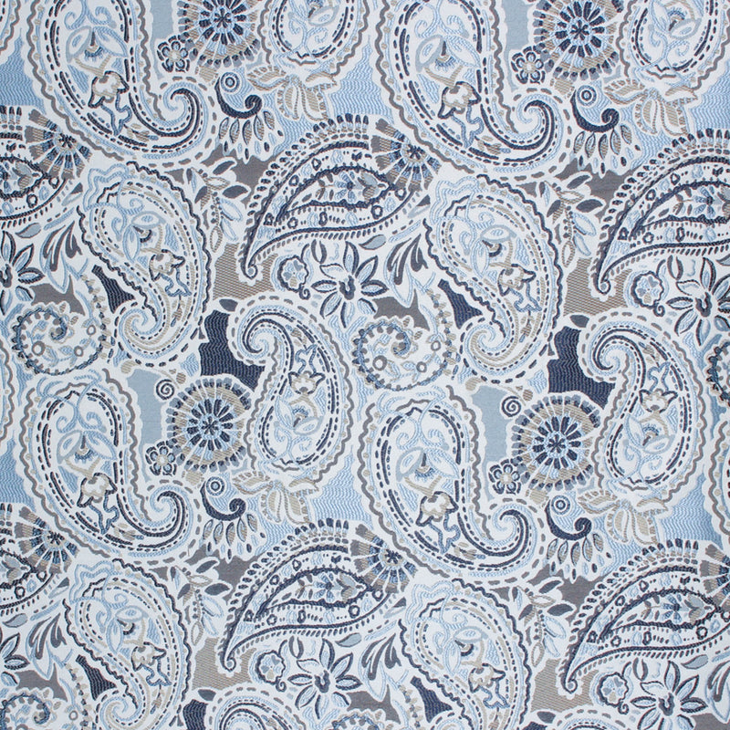 RM Coco - Vichey - Fabric by the Yard - Samples Available Upon Request