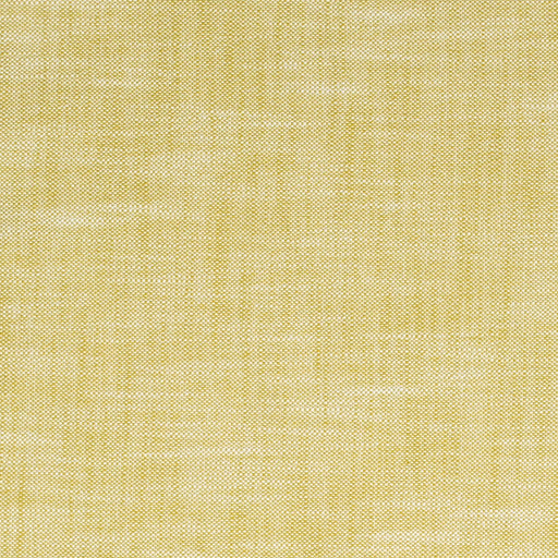 Vista - Pear - 29 Park - Fabric by the Yard