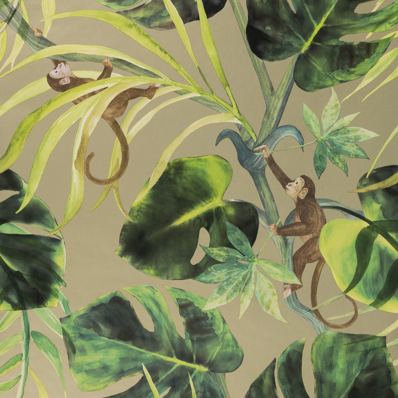 CLARKE AND CLARKE - MONKEY BUSINESS - GILVER - Wallpaper By The ROLL