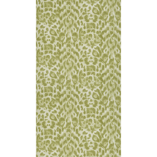CLARKE AND CLARKE - FELIS- GREEN  - Wallcovering by the Roll GREEN
