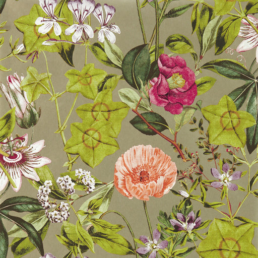 CLARKE AND CLARKE - PASSIFLORA- MULBERRY/GILVER WP - Wallcovering by the Roll MULBERRY/GILVER WP
