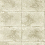 CLARKE AND CLARKE - IGNEOUS- CHAMPAGNE WP - Wallcovering by the Roll