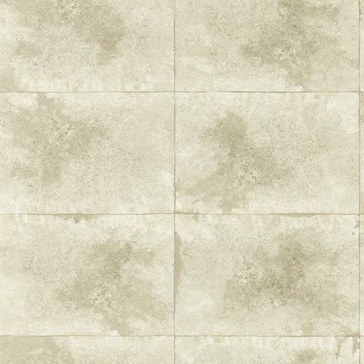 CLARKE AND CLARKE - IGNEOUS- CHAMPAGNE WP - Wallcovering by the Roll CHAMPAGNE WP