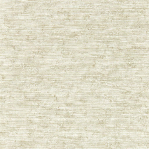 CLARKE AND CLARKE - IMPRESSION- NATURAL WP - Wallcovering by the Roll NATURAL WP