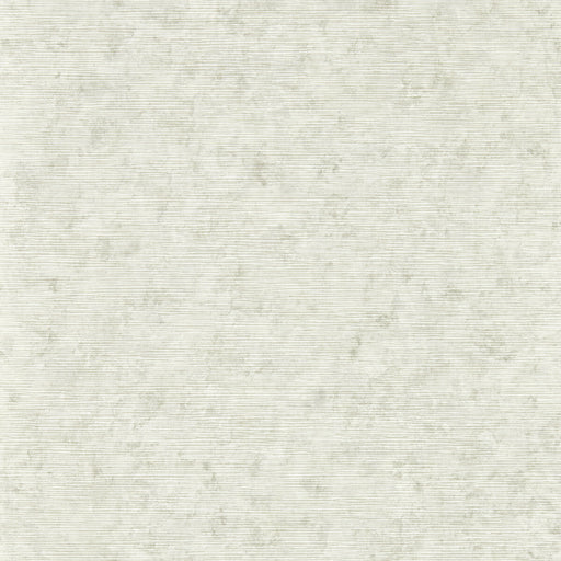 CLARKE AND CLARKE - W0152/03 - IMPRESSION - Wallpaper By the Roll