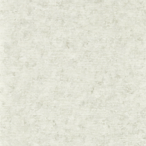 CLARKE AND CLARKE - IMPRESSION- STONE WP - Wallcovering by the Roll STONE WP