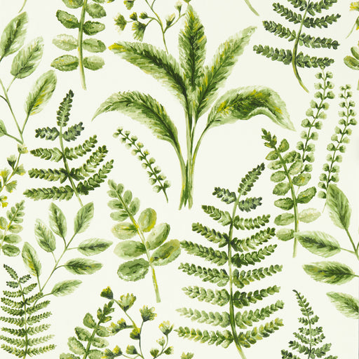 CLARKE AND CLARKE - W0156/02 - BRACKEN - Wallpaper By the Roll