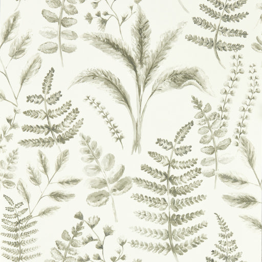 CLARKE AND CLARKE - W0156/03 - BRACKEN - Wallpaper By the Roll