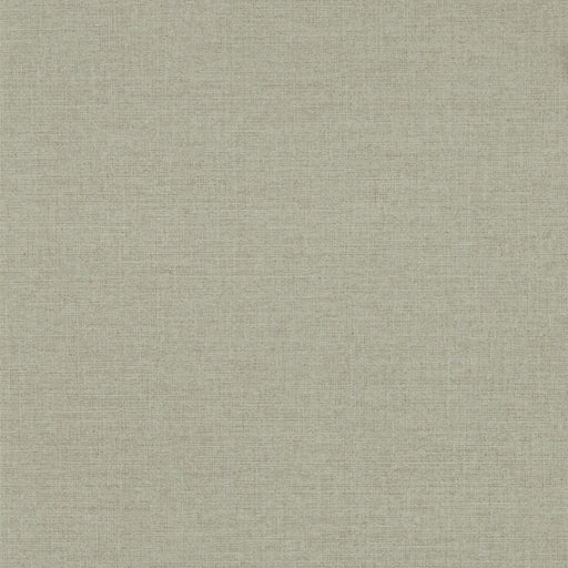 CLARKE AND CLARKE - W0157/05 - DALTON - Wallpaper By the Roll