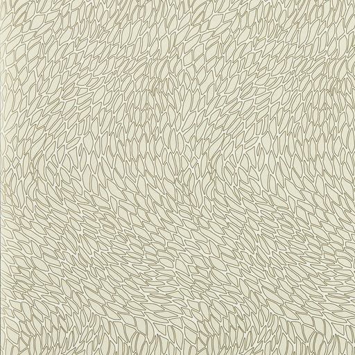 CLARKE AND CLARKE - CORALLINO- IVORY WP - Wallcovering by the Roll IVORY WP