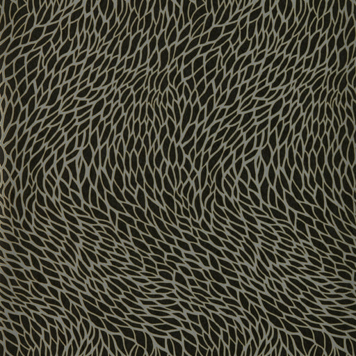 CLARKE AND CLARKE - CORALLINO- NOIR WP - Wallcovering by the Roll NOIR WP