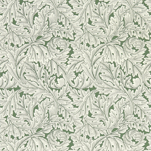 CLARKE AND CLARKE - ACANTHUS WP- SAGE - Wallcovering by the Roll SAGE