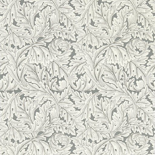 CLARKE AND CLARKE - ACANTHUS WP- SLATE - Wallcovering by the Roll SLATE