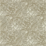 CLARKE AND CLARKE - DIPINTO- MINK WP - Wallcovering by the Roll