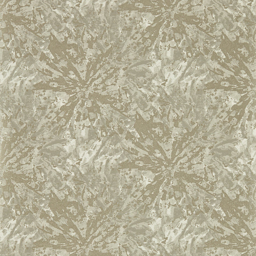 CLARKE AND CLARKE - DIPINTO- MINK WP - Wallcovering by the Roll MINK WP