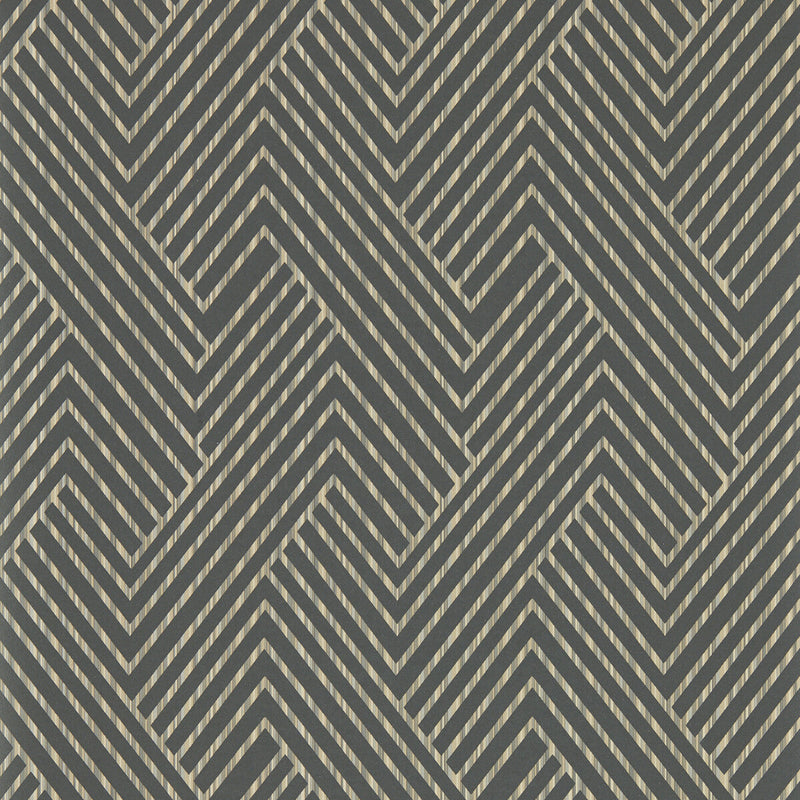 CLARKE AND CLARKE - GRASSETTO- CHARCOAL WP - Wallcovering by the Roll CHARCOAL WP