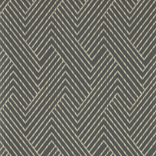 CLARKE AND CLARKE - GRASSETTO- CHARCOAL WP - Wallcovering by the Roll CHARCOAL WP