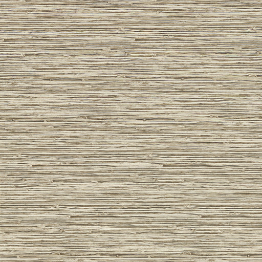 CLARKE AND CLARKE - W0192/03 - XAN - Wallpaper By the Roll