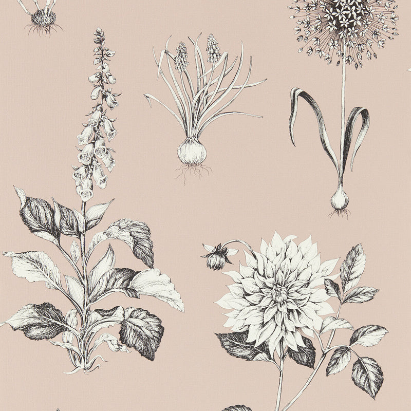 CLARKE AND CLARKE - ROSERAIE - BLUSH WP - Wallpaper By The ROLL