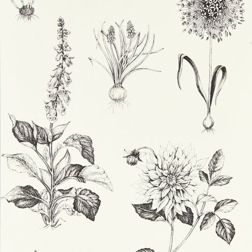 CLARKE AND CLARKE - W0197/02 - ROSERAIE - Wallpaper By the Roll