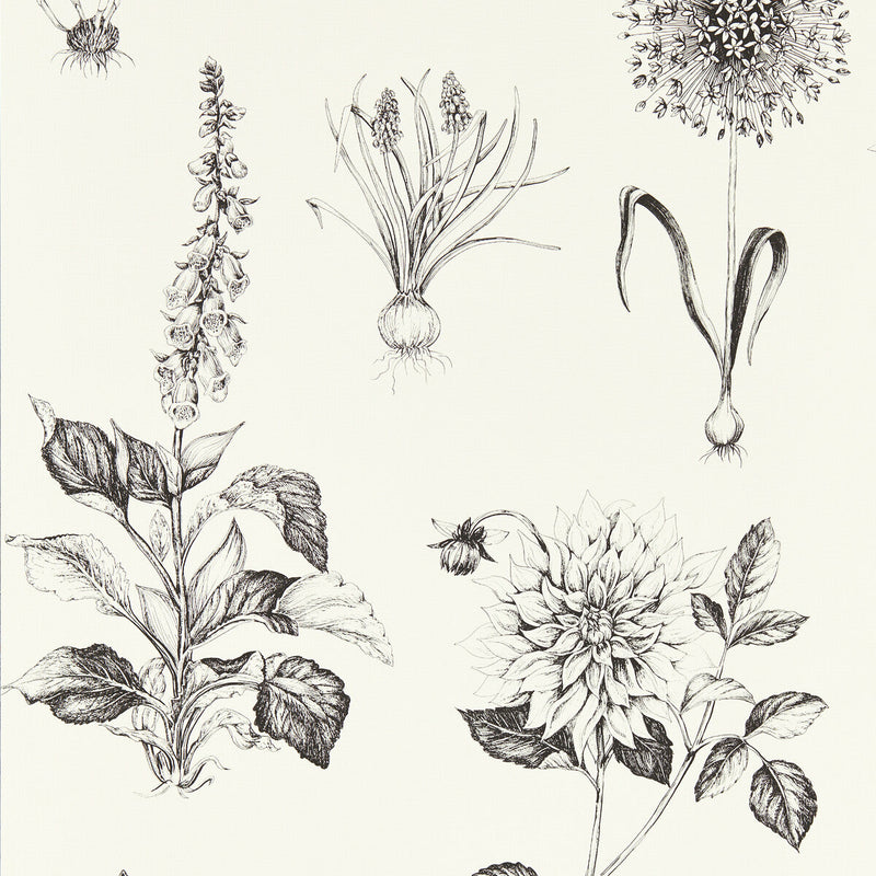 CLARKE AND CLARKE - ROSERAIE - CHARCOAL WP - Wallpaper By The ROLL