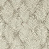 CLARKE AND CLARKE - FOLIUS- PUTTY WP - Wallcovering by the Roll