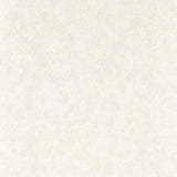 CLARKE AND CLARKE - MARMOR- PARCHMENT WP - Wallcovering by the Roll