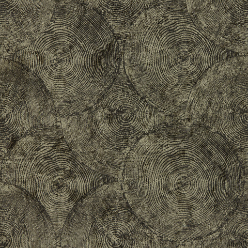 CLARKE AND CLARKE - SILVAN- CHARCOAL GILVER WP - Wallcovering by the Roll CHARCOAL GILVER WP