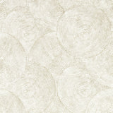 CLARKE AND CLARKE - SILVAN- GILVER WP - Wallcovering by the Roll