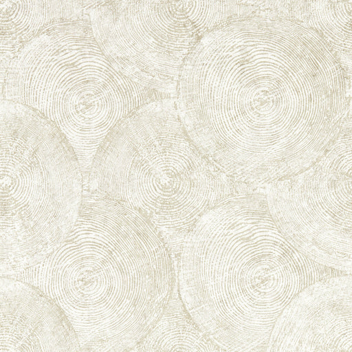 CLARKE AND CLARKE - SILVAN- GILVER WP - Wallcovering by the Roll GILVER WP
