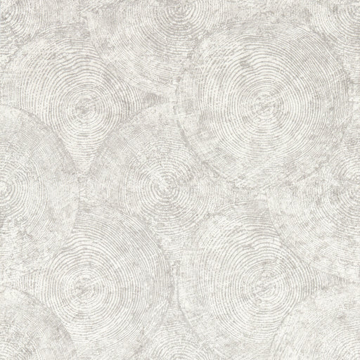 CLARKE AND CLARKE - SILVAN- PUTTY WP - Wallcovering by the Roll PUTTY WP