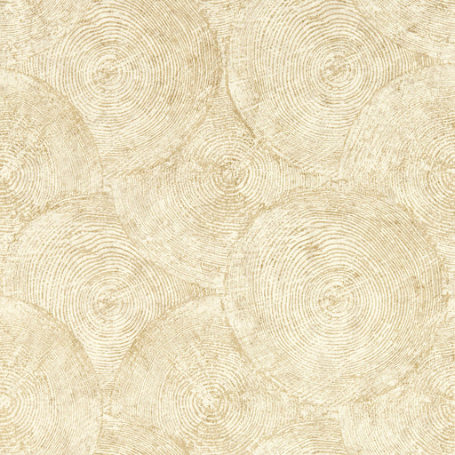 CLARKE AND CLARKE - SILVAN- SAHARA WP - Wallcovering by the Roll SAHARA WP