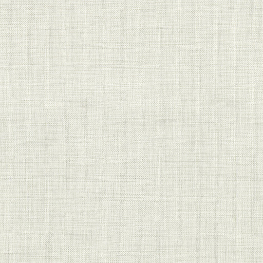 CLARKE AND CLARKE - W0210/02 - SIRPO - Wallpaper By the Roll