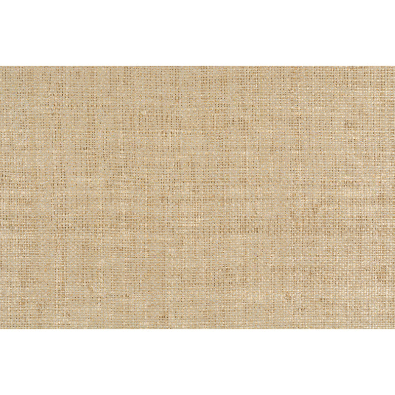 KRAVET COUTURE - GILDED RAFFIA- RAFFIA - Wallcovering by the Yard RAFFIA