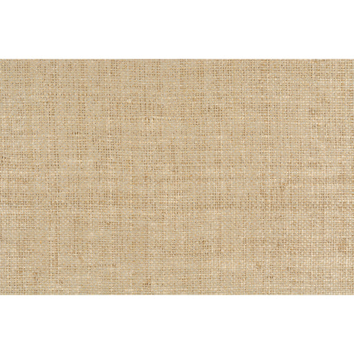 KRAVET COUTURE - GILDED RAFFIA- RAFFIA - Wallcovering by the Yard RAFFIA