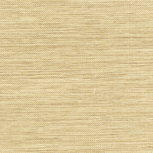 KRAVET DESIGN - KRAVET DESIGN- W3281-16 - Wallcovering by the Roll W3281-16