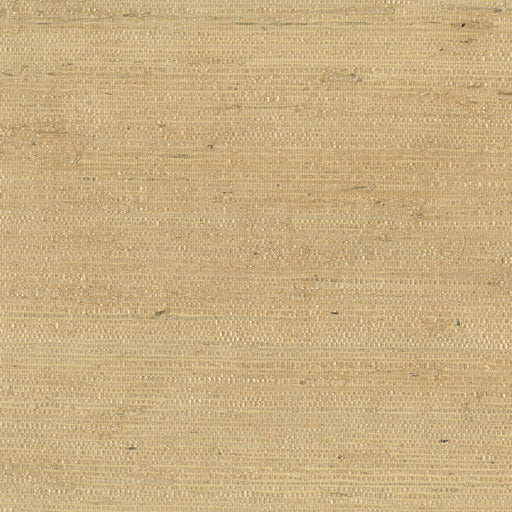 KRAVET DESIGN - W3303 - Wallpaper By the Roll