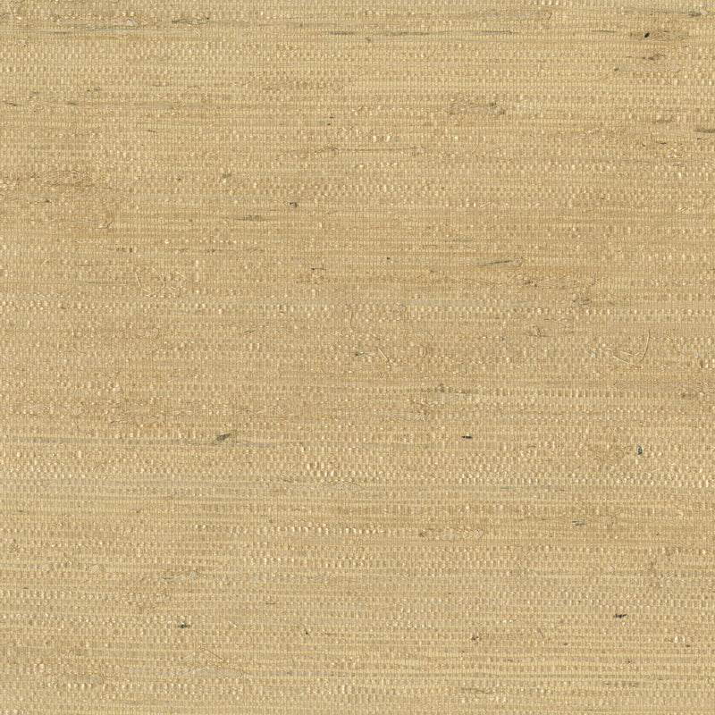 KRAVET DESIGN - KRAVET DESIGN- W3303-14 - Wallcovering by the Roll W3303-14