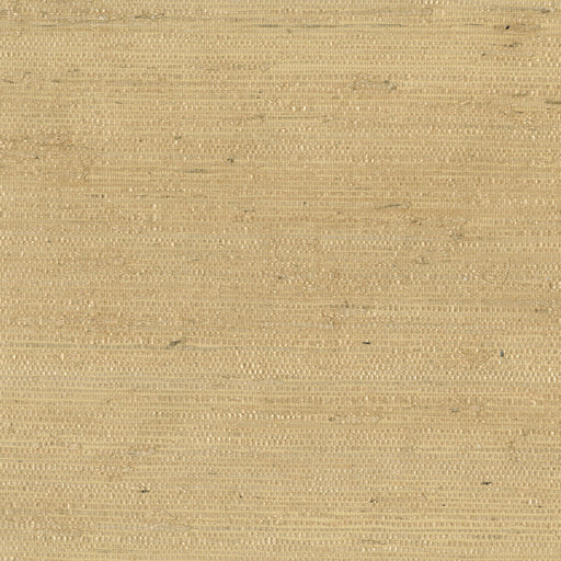KRAVET DESIGN - KRAVET DESIGN- W3303-14 - Wallcovering by the Roll W3303-14