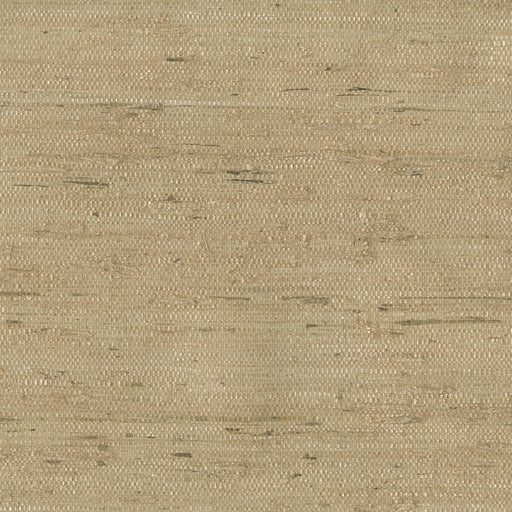 KRAVET DESIGN - KRAVET DESIGN- W3303-16 - Wallcovering by the Roll W3303-16