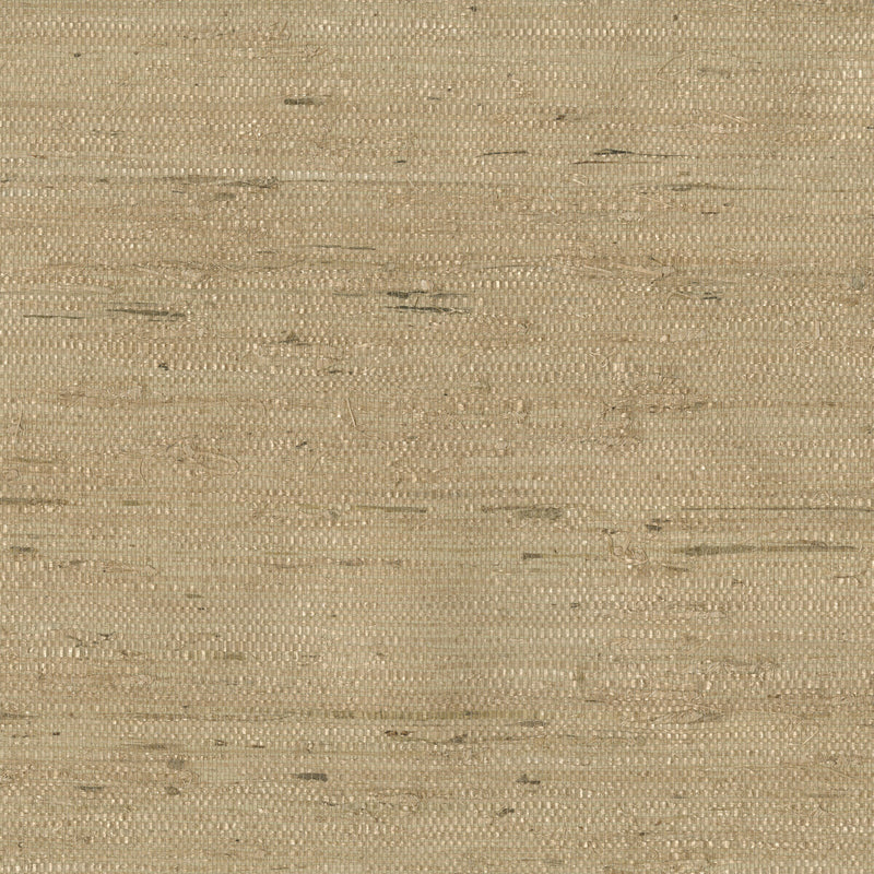 KRAVET DESIGN - KRAVET DESIGN- W3303-16 - Wallcovering by the Roll W3303-16