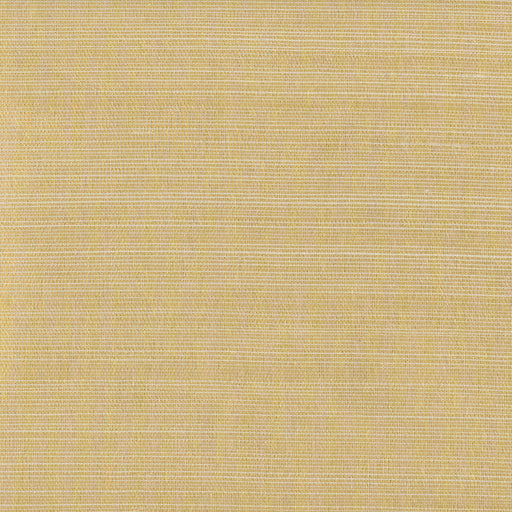 KRAVET DESIGN - KRAVET DESIGN- W3306-14 - Wallcovering by the Roll W3306-14