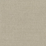 KRAVET DESIGN - KRAVET DESIGN- W3309-116 - Wallcovering by the Roll
