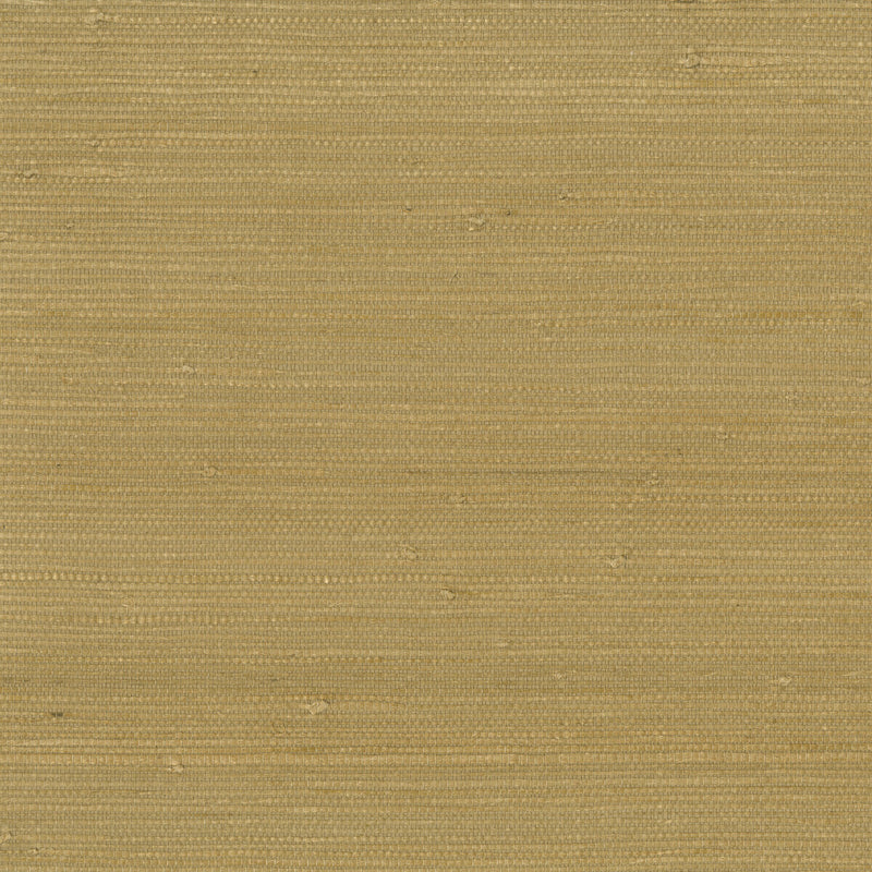 KRAVET DESIGN - KRAVET DESIGN- W3312-4 - Wallcovering by the Roll W3312-4
